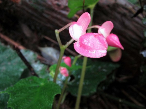 20120826暖東越野_053