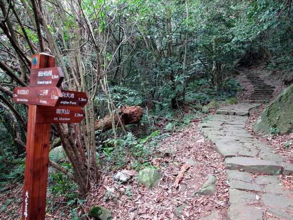 20130214陽明山西縱走010