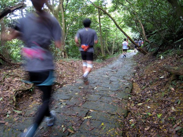 20130519碧山山徑越野009