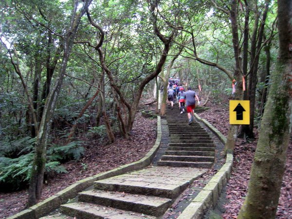 20130519碧山山徑越野013