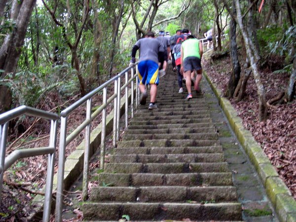 20130519碧山山徑越野014