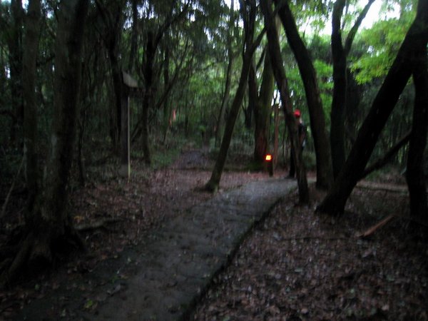 20130519碧山山徑越野028