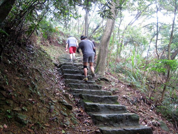 20130519碧山山徑越野042