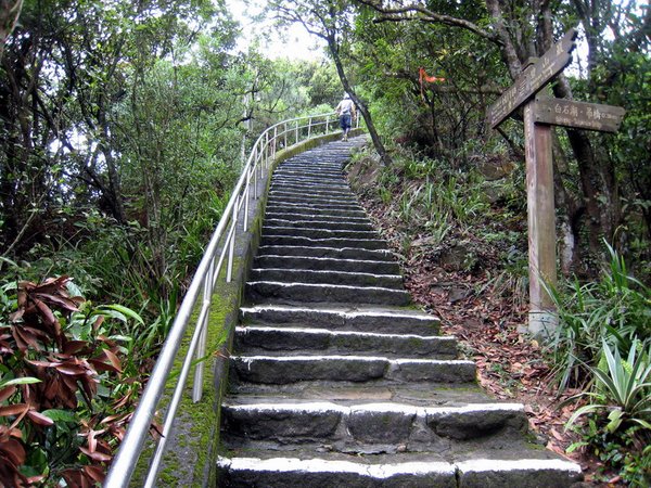 20130519碧山山徑越野048