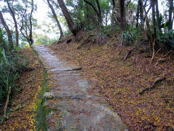 20130519碧山山徑越野051