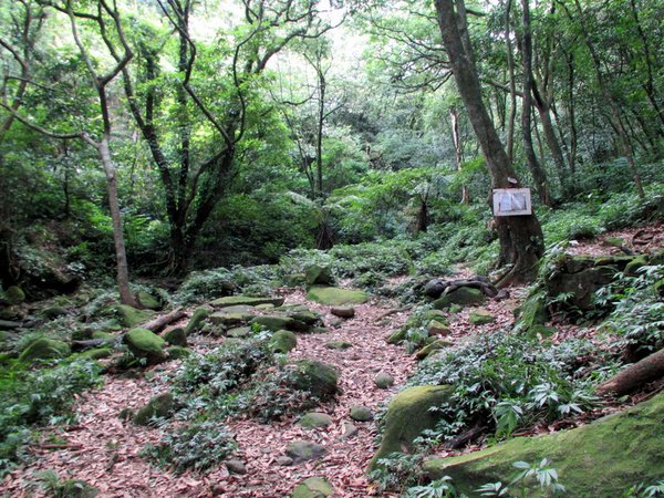 20130609竹子山古道006