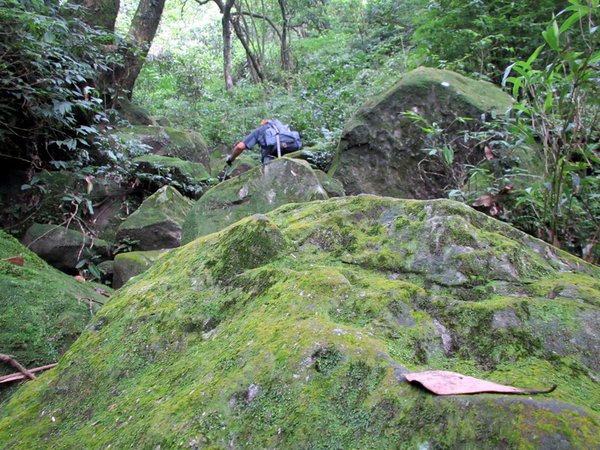 20130609竹子山古道028