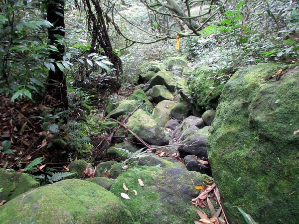 20130609竹子山古道088