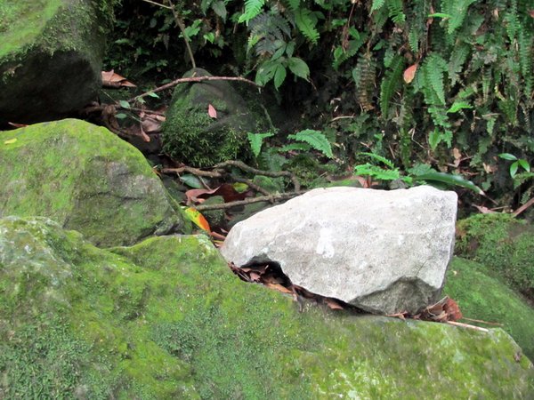 20130609竹子山古道096