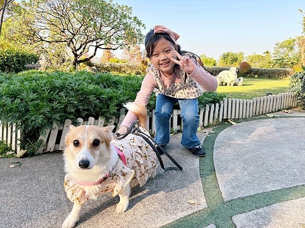 嘉義後山「幸福山丘」免門票、毛小孩也能來的景觀咖啡館。