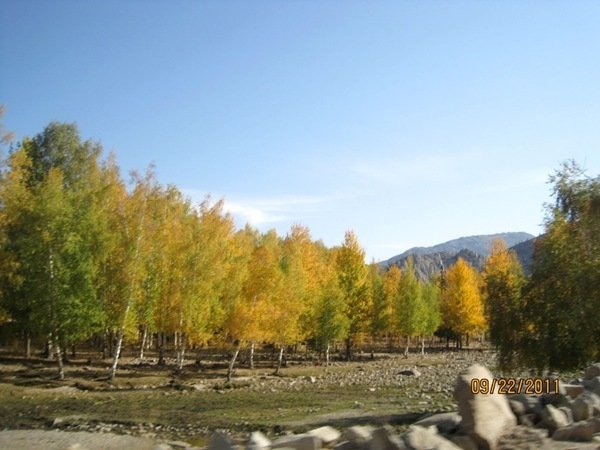 286.09.22.2011_1108