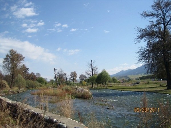 1303.09.28.2011_1437