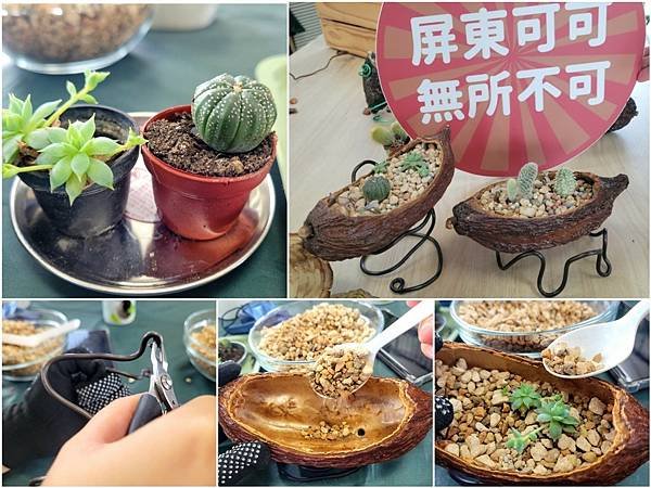 LINE_ALBUM_巧克力_230925_2