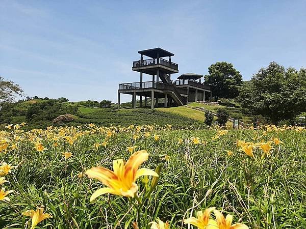 【花蓮美食推薦|花蓮住宿推薦】2024花蓮旅遊補助怎麼拿⁉️