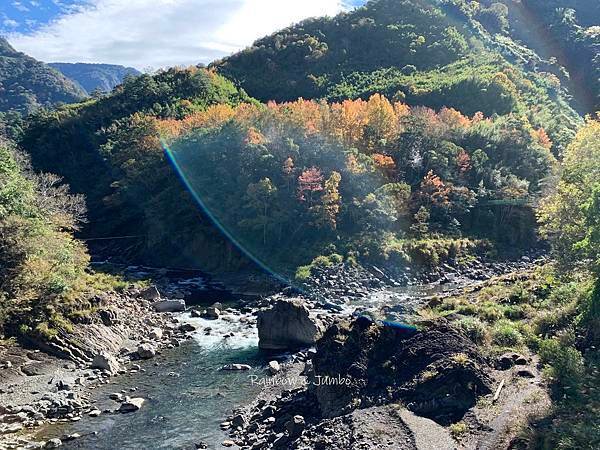 【新竹旅遊】新竹尖石｜司馬庫斯兩天一夜｜軍艦岩吊橋、司馬庫斯