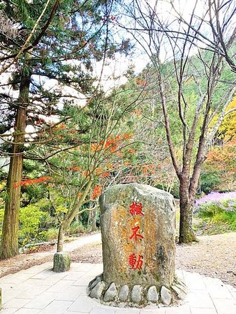 武陵農場 一年四季風景不打烊，武陵四秀賞櫻賞楓-搬不動石頭