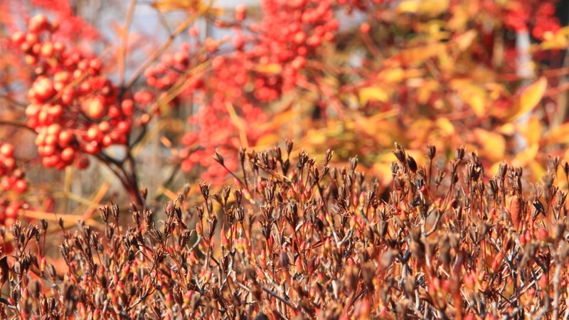 120127_232.JPG