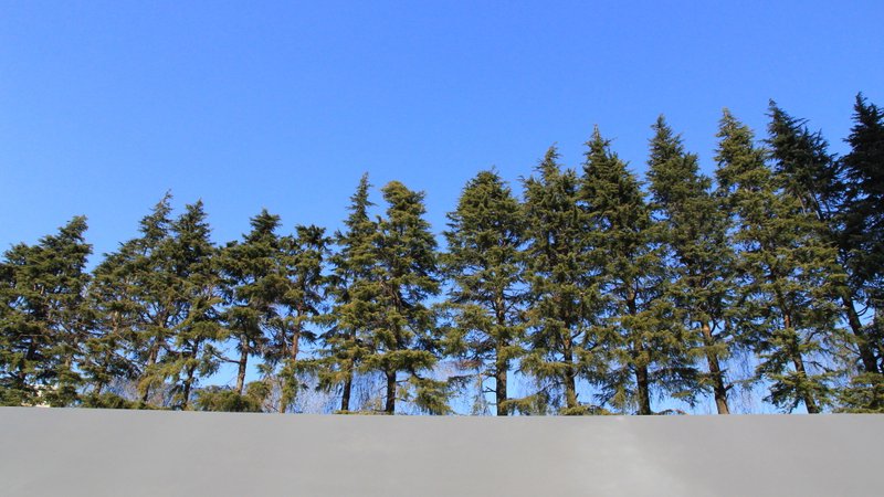 120127_235.JPG