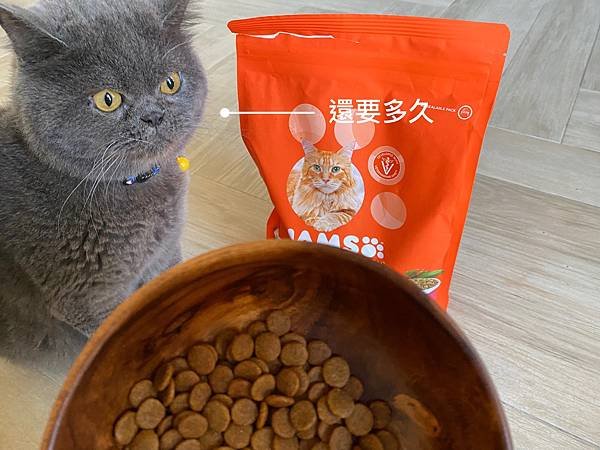 貓糧推薦｜IAMS™愛慕思™健康優活系列-成貓營養配方 好評