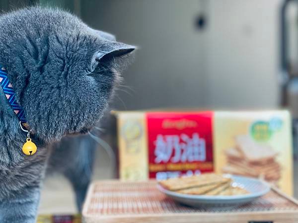 零食開箱 | Kenji健司奶油胚芽餅乾 推薦好評熱賣中