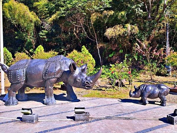 2024新年首跑--嘉義梅山賞梅天梯之旅