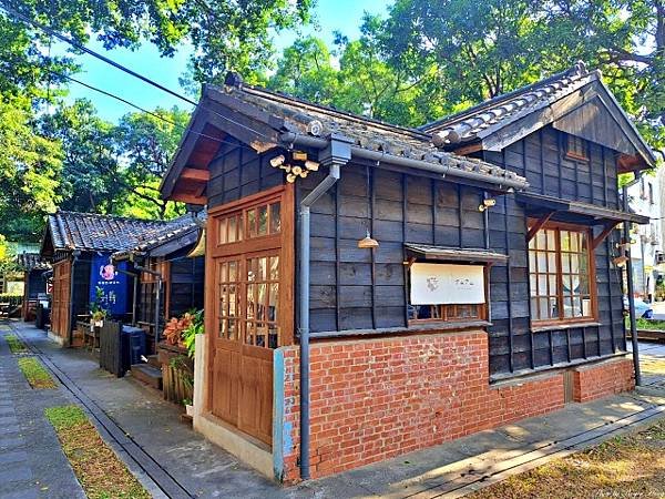 2024新年首跑--嘉義梅山賞梅天梯之旅