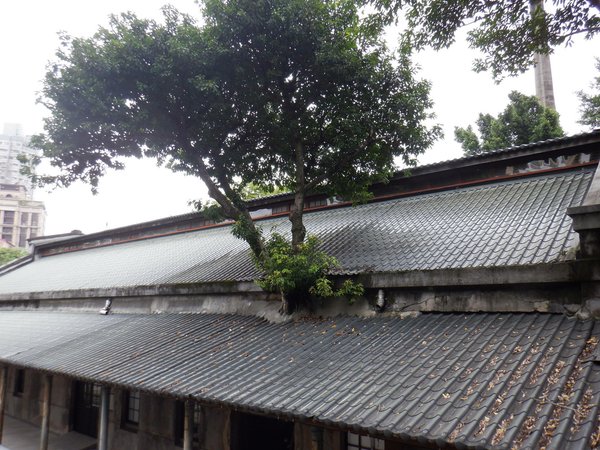 DSCF4380.jpg