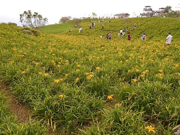 103.8.9.(49)       花蓮-六十石山.JPG