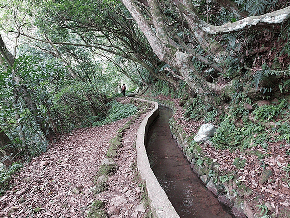 每趟旅程都是回憶~陽明山古圳之行