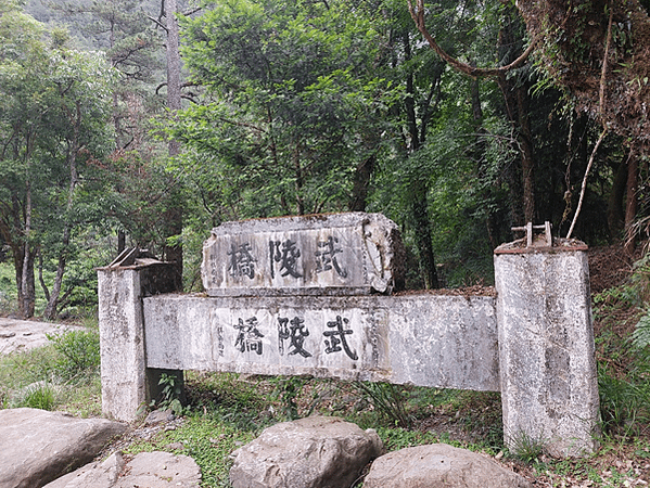 四分之一島鏈之旅(下集)~武陵、福壽山之鳥語花香