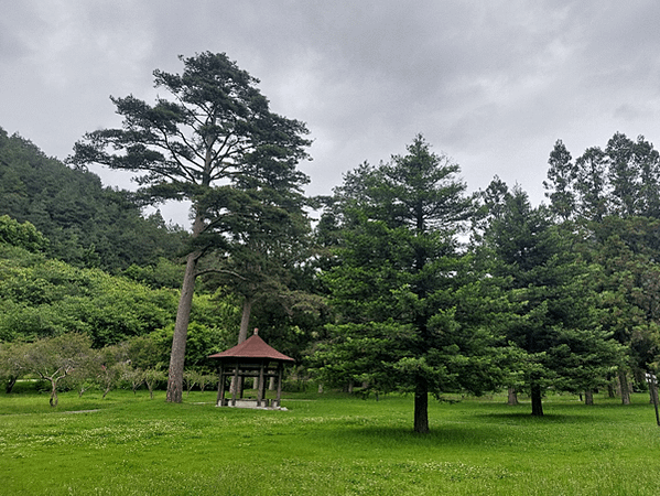 四分之一島鏈之旅(下集)~武陵、福壽山之鳥語花香