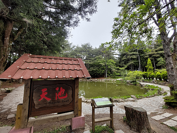 四分之一島鏈之旅(下集)~武陵、福壽山之鳥語花香