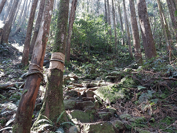 2024就來爬個2024的橫嶺山~順走沙蓮山(橫沙縱走)