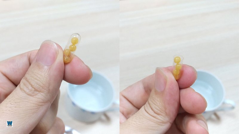 凱炬精萃圓粒膠囊體驗分享,人蔘皂苷 Rg3 與 HPLC 鑑定 (功效,萃取,癌症) (11).jpg