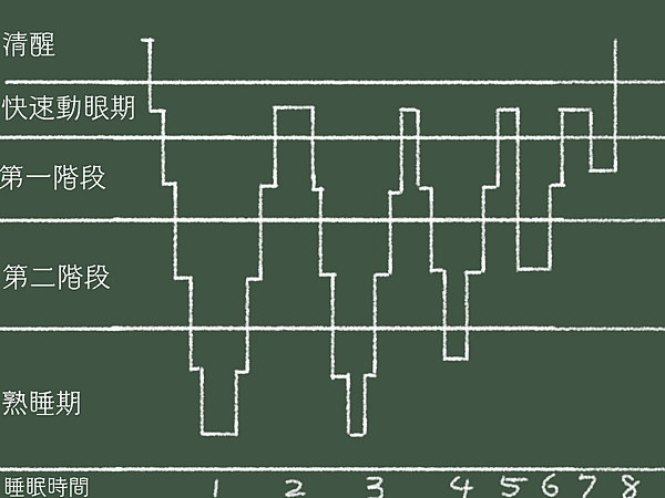 睡眠學校〡揭開睡眠奧秘〡筆記