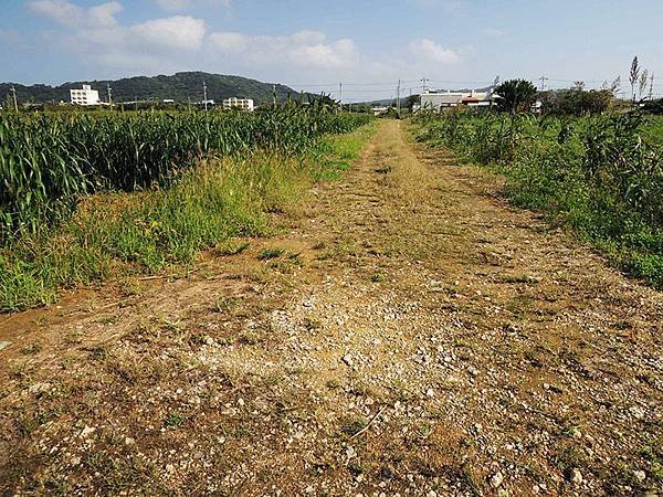 石垣島跨年~之2~石垣島鐘乳洞