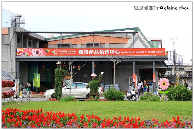 池上鄉農會四季花海02.jpg
