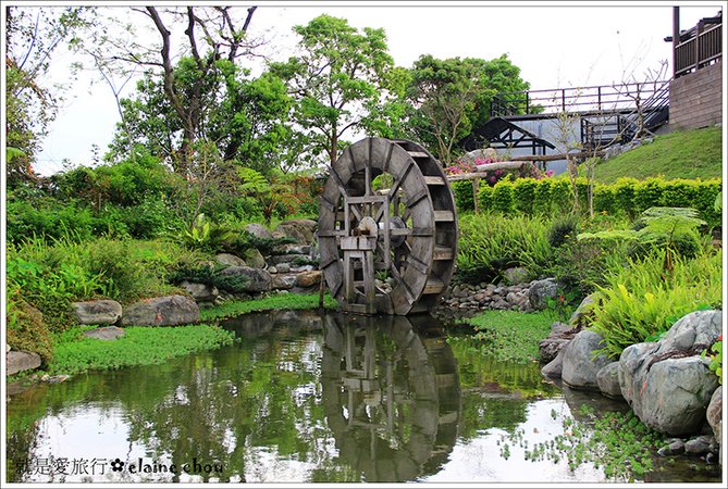 池上鄉農會四季花海17.jpg