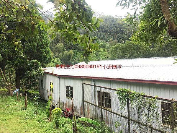 台中市東勢區聚福街10巷92號法拍屋
