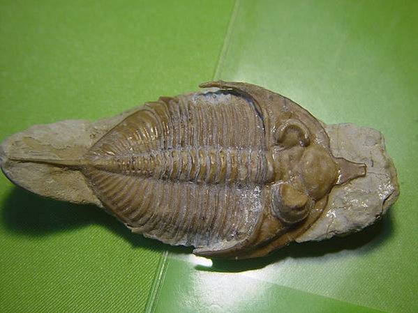 DSC00295
