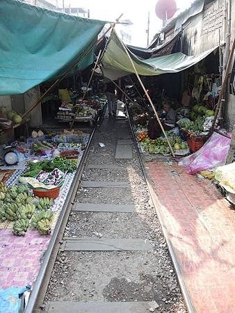 DSCN0695.jpg