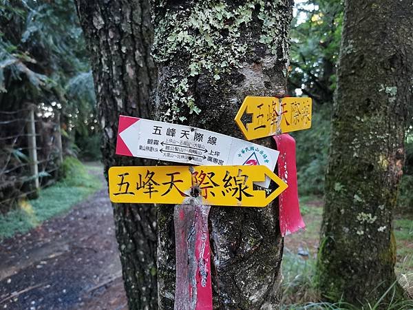 IMG_20220820_061812