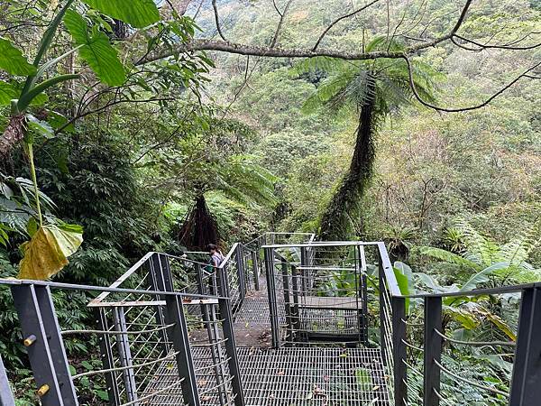 【烏來福山】走入烏來最深處秘境｜福山部落，南勢溪上游水源保護