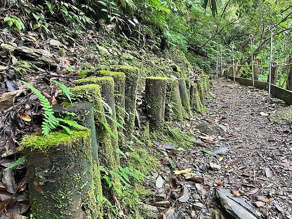 【烏來福山】走入烏來最深處秘境｜福山部落，南勢溪上游水源保護