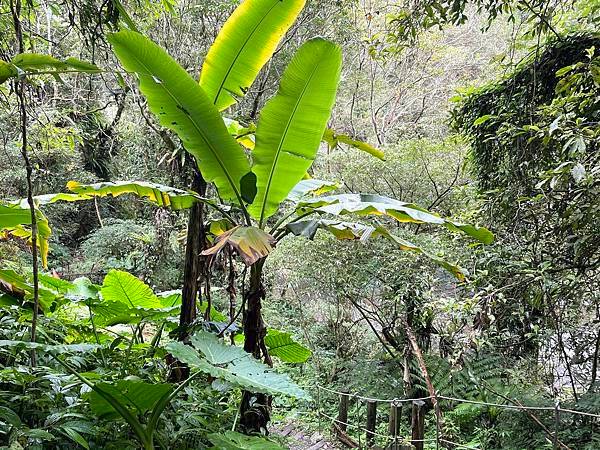 【烏來福山】走入烏來最深處秘境｜福山部落，南勢溪上游水源保護