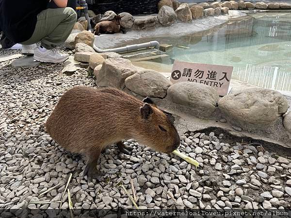 2/2-2/8   過年前的台中高雄墾丁小旅行