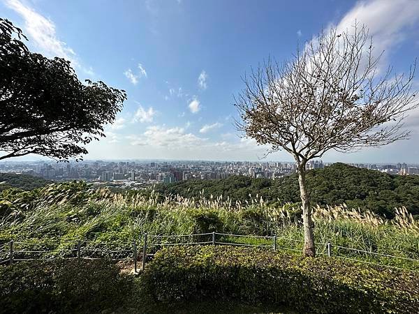 桃園~「桃園天際景觀」虎頭山環保公園