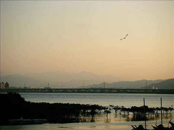 關渡半日遊 12/7/2008