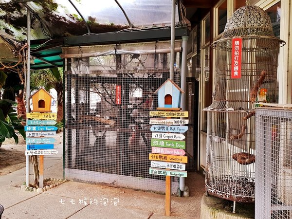 台中親子景點｜赤腳ㄚ生態農莊｜小動物、沙坑、草地、戲水池、溜