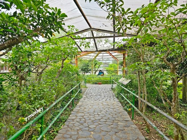 26-南投景點。木生博物館。木生昆蟲博物館。親子景點。中部親子景點.jpg
